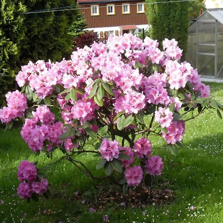 Apartamento Dagmar Mergen